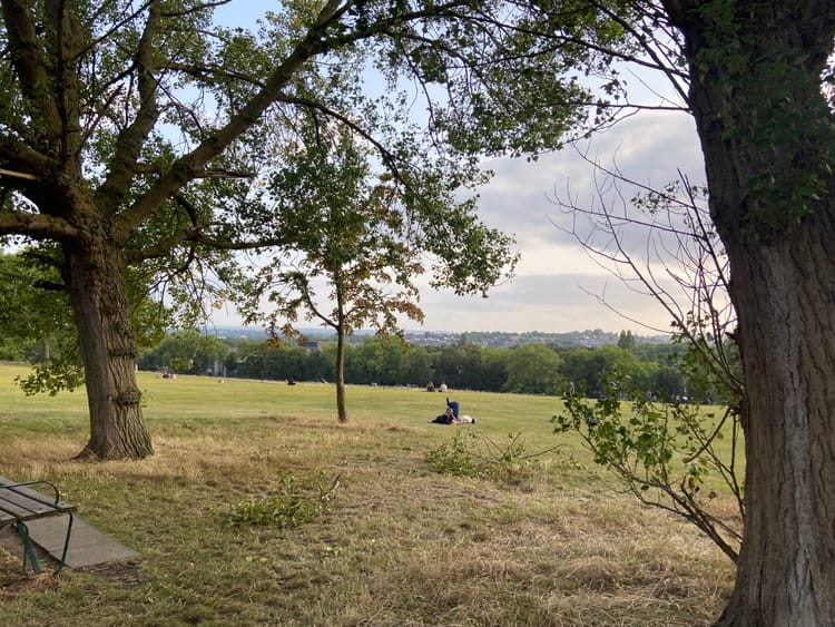 Hilly Fields, Lewisham